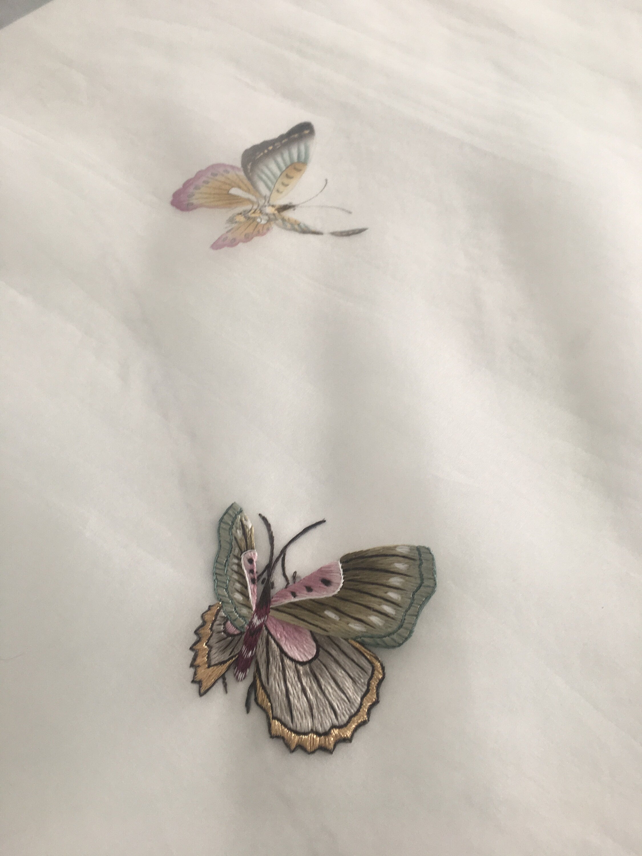 Double Sided Handpainted Magnolia and Butterfly on Silk Organza with Hand Embroidery